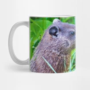 Groundhog in the Grass Photograph Mug